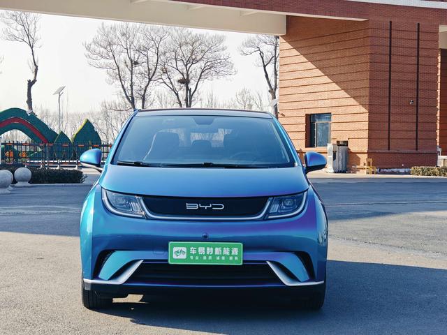 BYD Dolphin - фото 1