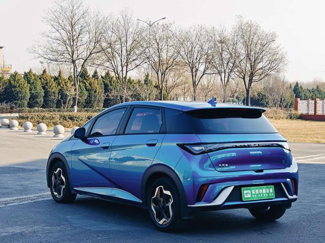 BYD Dolphin - фото 3