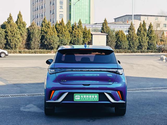 BYD Dolphin - фото 4