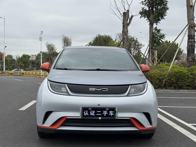 BYD Dolphin - фото 1