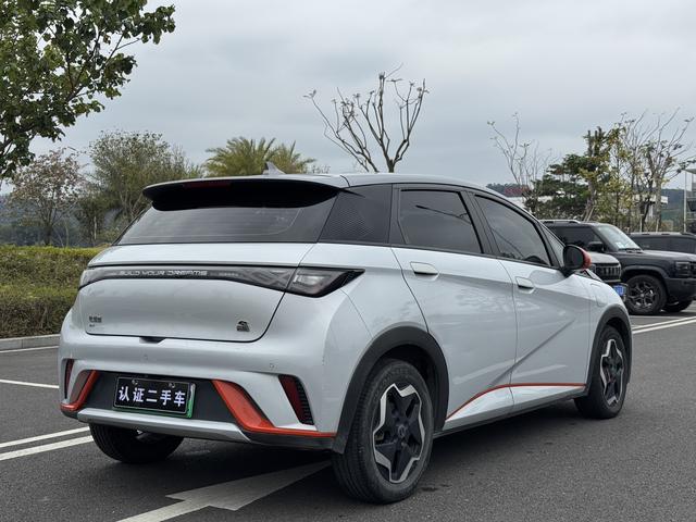 BYD Dolphin - фото 3