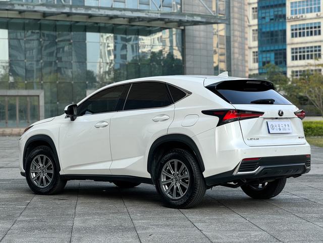 Lexus NX - фото 4