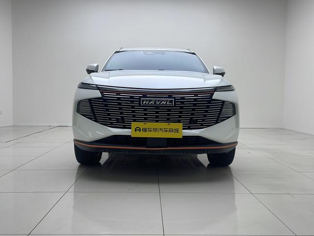 Haval Shenshou - фото 1