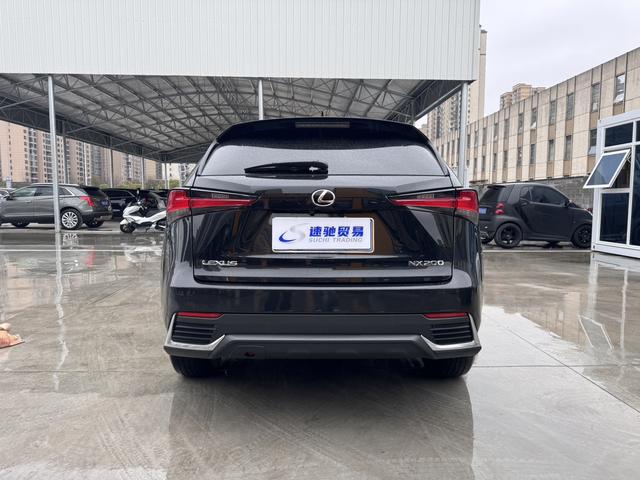 Lexus NX - фото 3