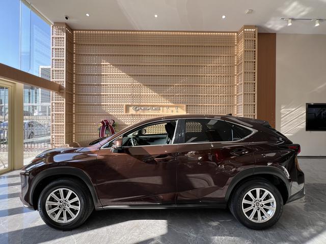 Lexus NX - фото 2