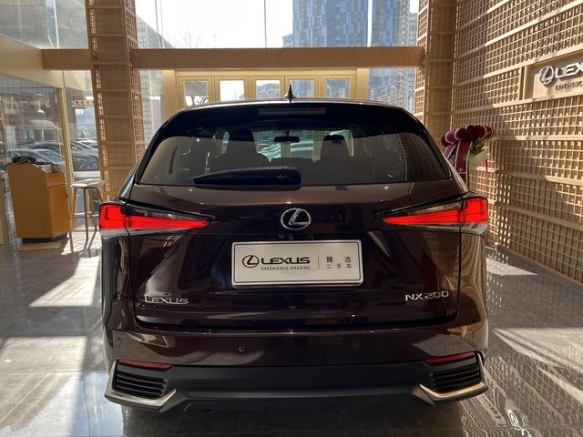 Lexus NX - фото 3