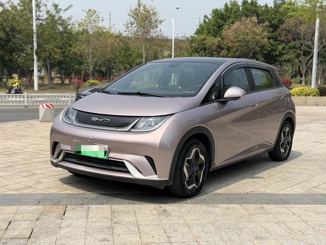 BYD Dolphin - фото 0