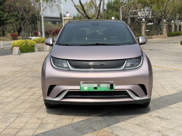 BYD Dolphin - фото 1