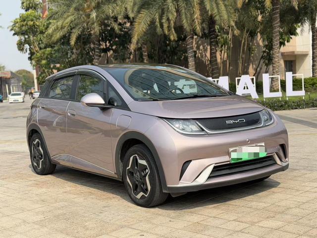 BYD Dolphin - фото 2