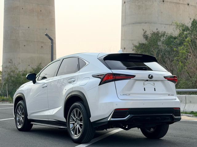 Lexus NX - фото 3