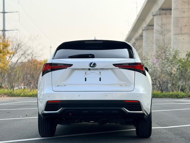 Lexus NX - фото 4