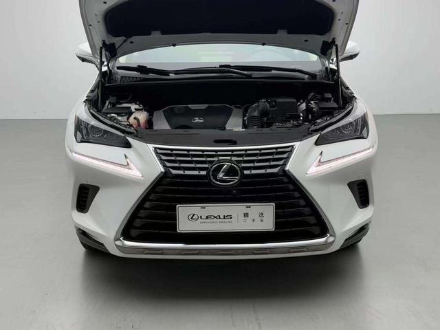 Lexus NX - фото 2