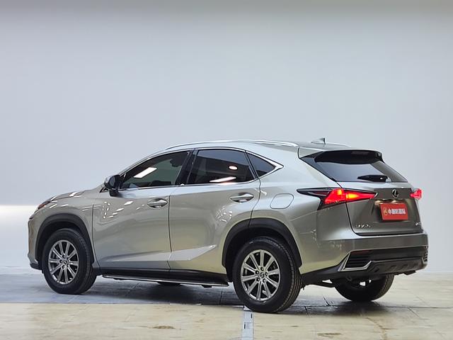Lexus NX - фото 4