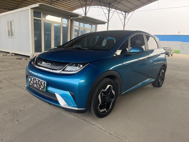 BYD Dolphin - фото 0