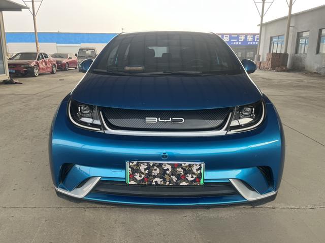 BYD Dolphin - фото 1