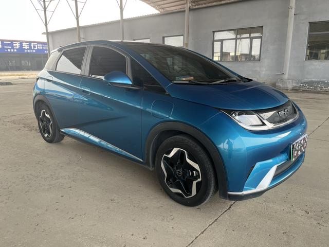 BYD Dolphin - фото 2