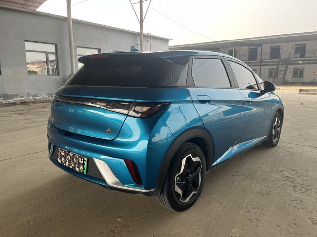 BYD Dolphin - фото 3