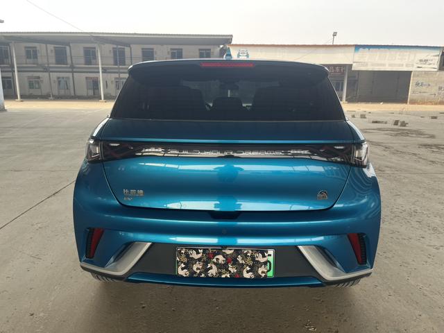 BYD Dolphin - фото 4