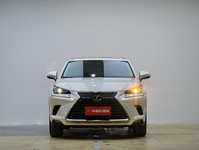 Lexus NX - фото 1