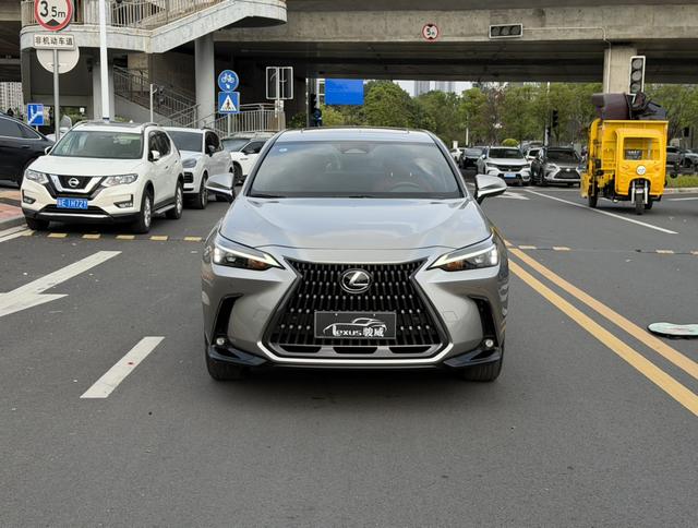 Lexus NX - фото 2