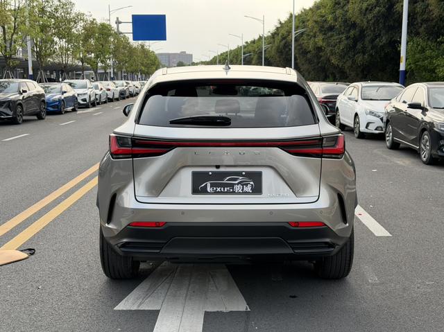 Lexus NX - фото 4