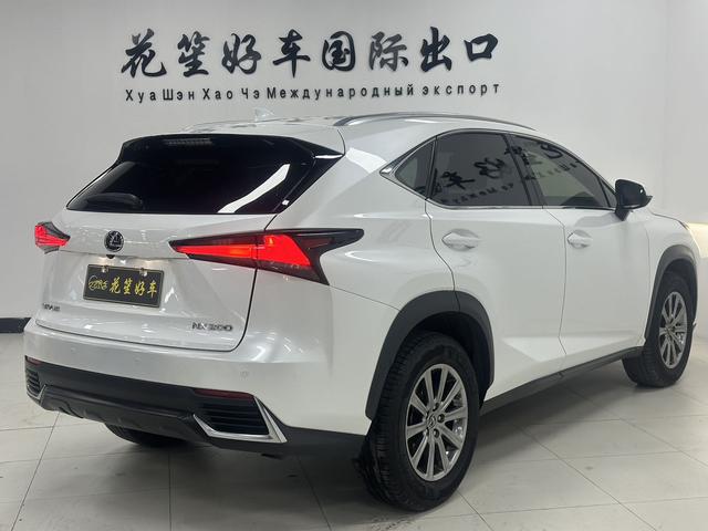 Lexus NX - фото 4