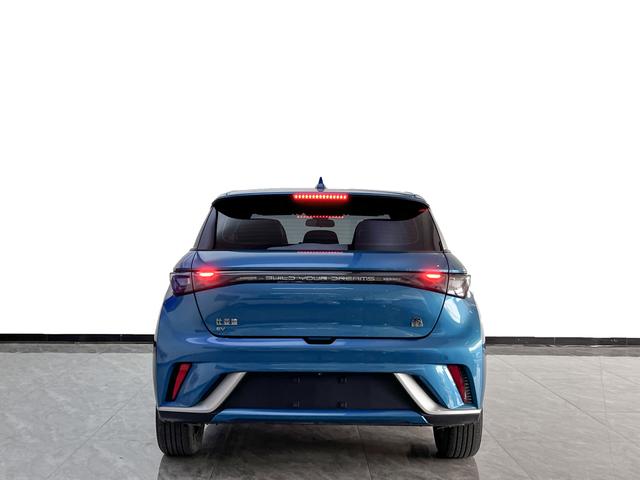 BYD Dolphin - фото 2