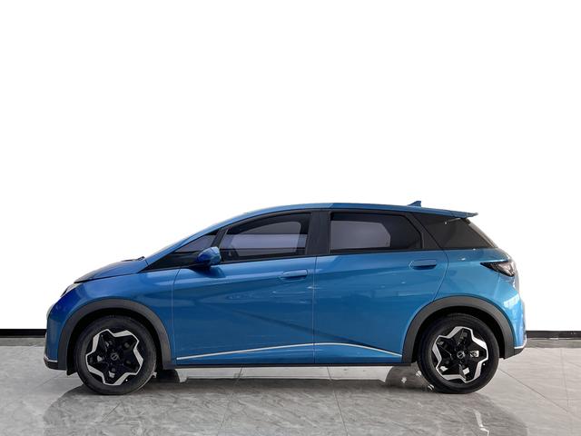 BYD Dolphin - фото 4