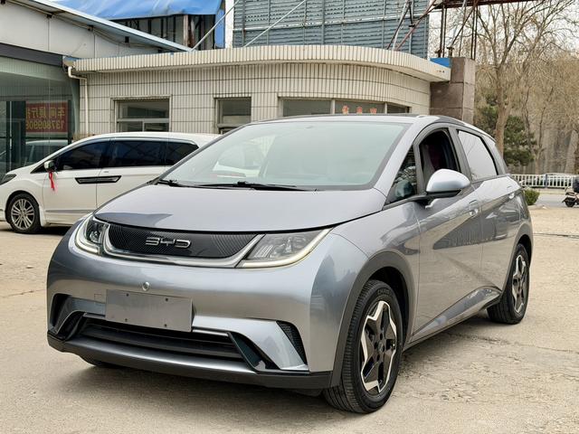 BYD Dolphin - фото 0