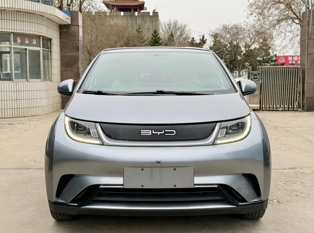 BYD Dolphin - фото 1