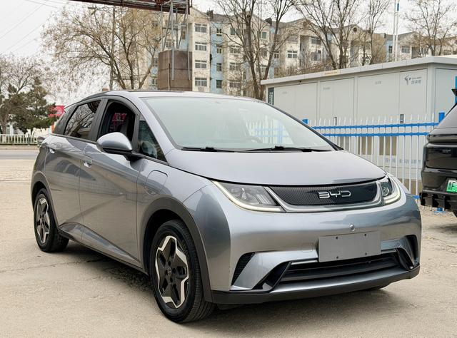 BYD Dolphin - фото 2