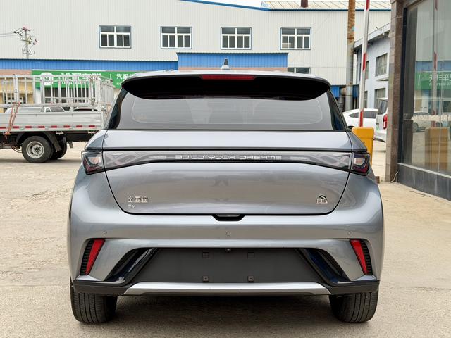 BYD Dolphin - фото 3