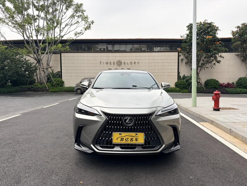 Lexus NX - фото 1