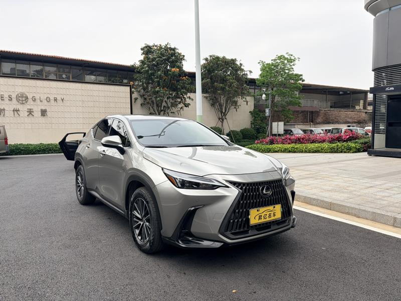Lexus NX - фото 2