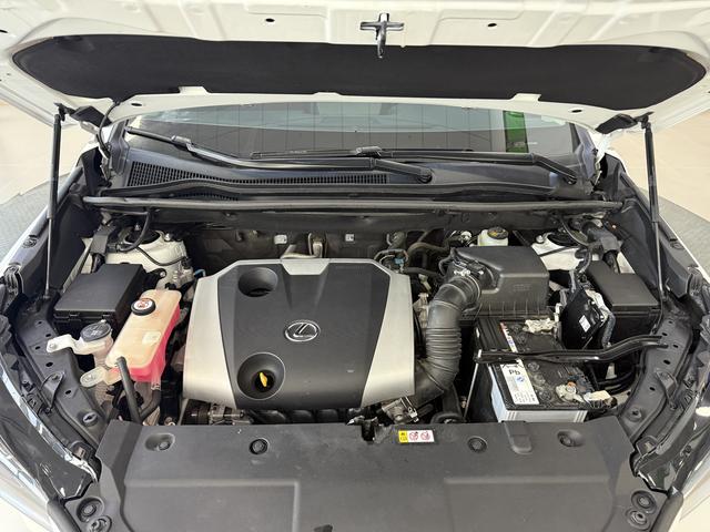 Lexus NX - фото 4