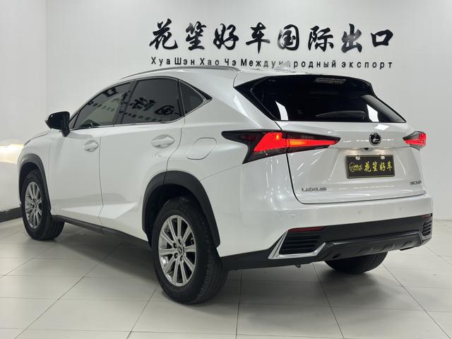Lexus NX - фото 4