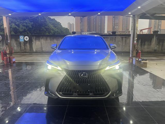 Lexus NX - фото 1
