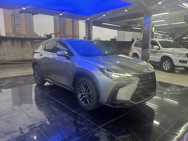 Lexus NX - фото 2