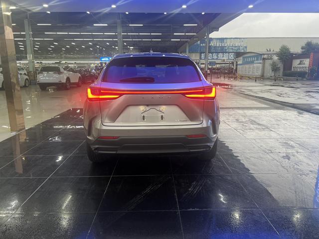 Lexus NX - фото 4