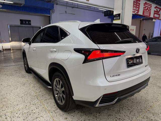 Lexus NX - фото 3