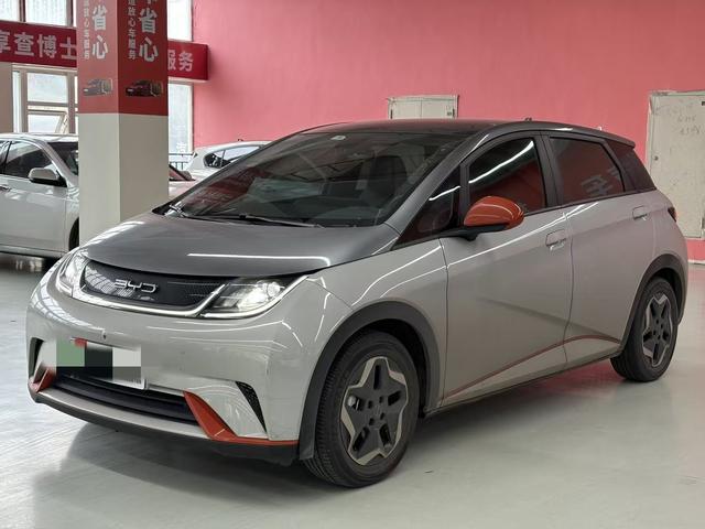 BYD Dolphin - фото 0