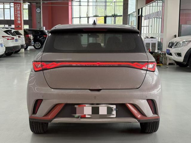 BYD Dolphin - фото 1