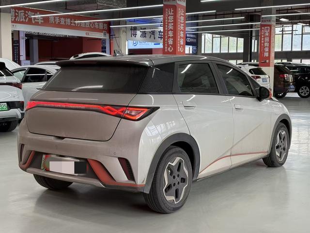 BYD Dolphin - фото 2