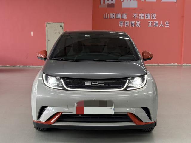 BYD Dolphin - фото 3