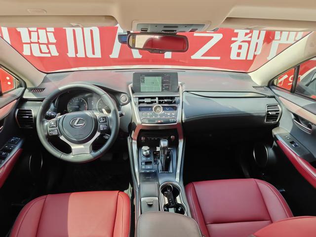 Lexus NX - фото 3