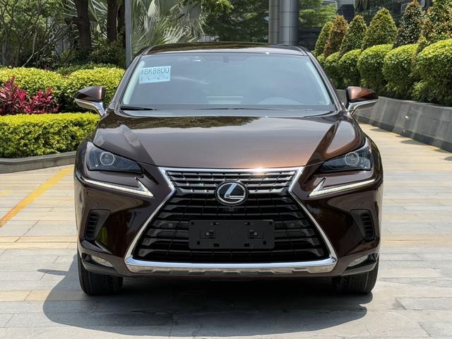 Lexus NX - фото 1