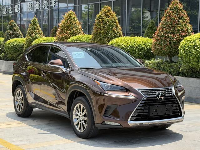 Lexus NX - фото 2