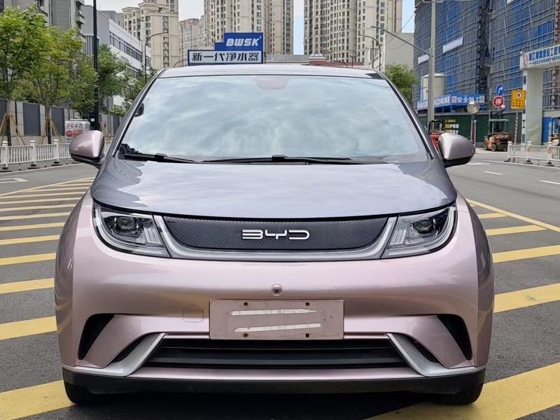 BYD Dolphin - фото 1
