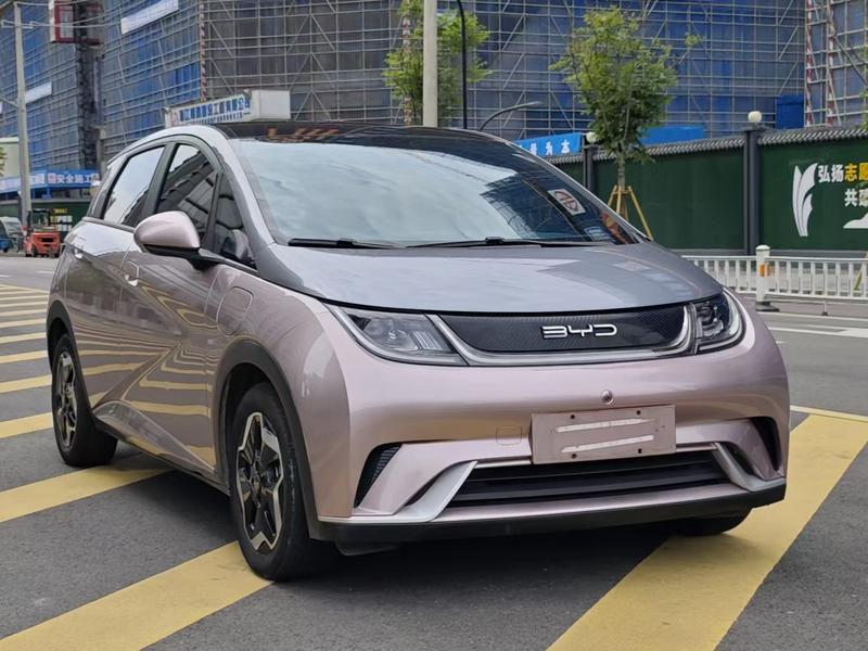 BYD Dolphin - фото 2