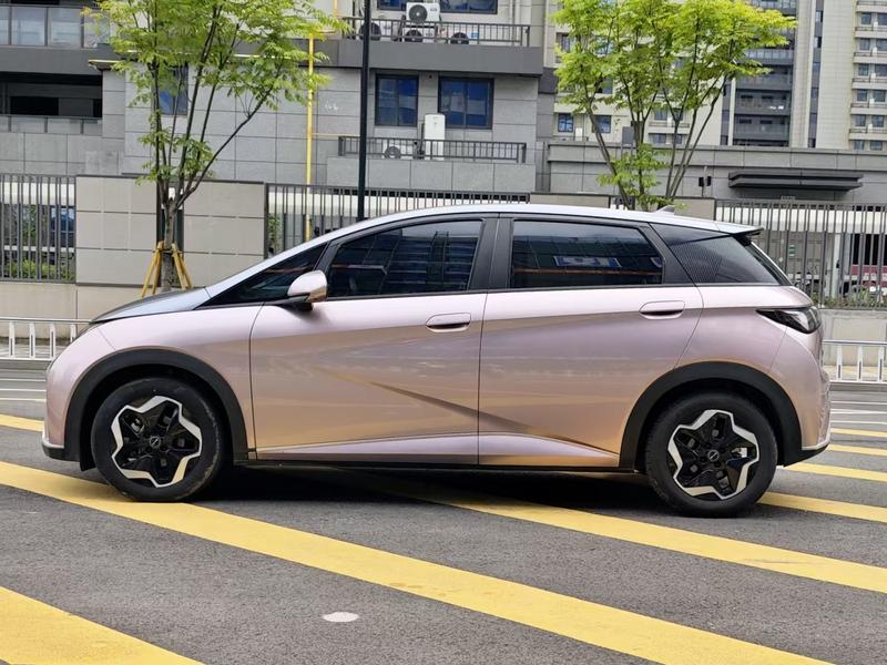 BYD Dolphin - фото 3
